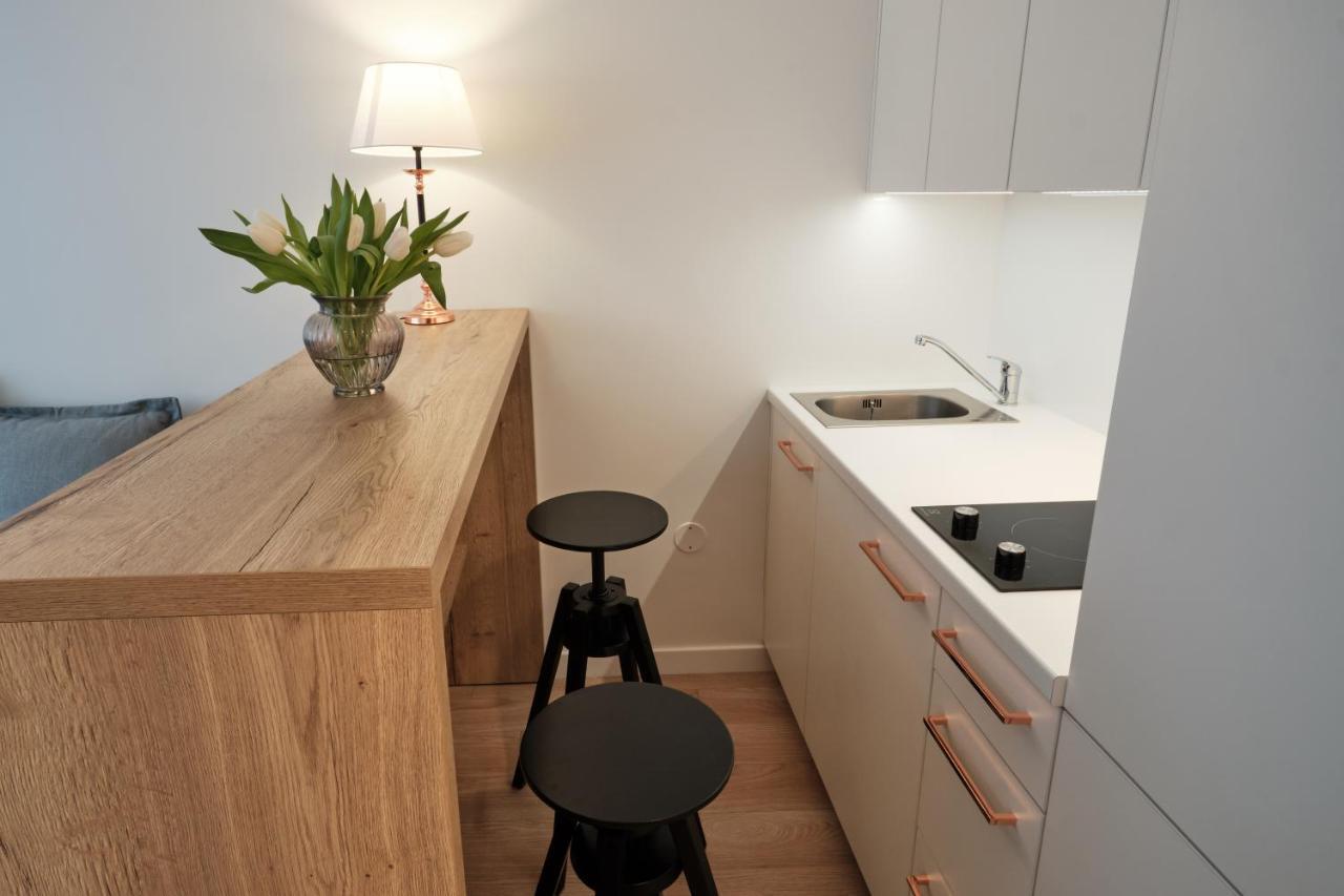 Cosy Studio Near Akropolis And Svyturio Arena Klaipeda Ngoại thất bức ảnh